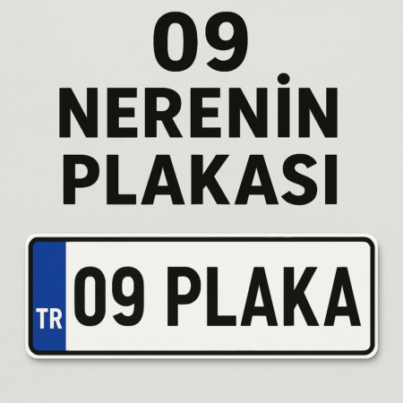 09 nerenin plakası