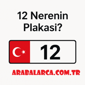 12 nerenin plakasi 2025